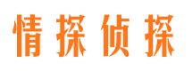 静安婚外情取证